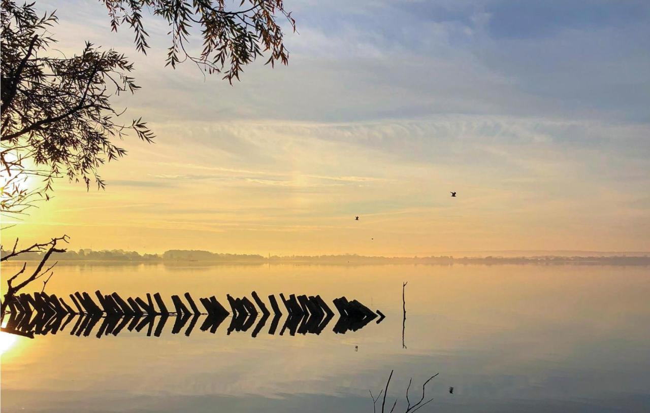 Amazing home in Lembruch-Dmmer See with 2 Bedrooms, Sauna&WiFi Buitenkant foto